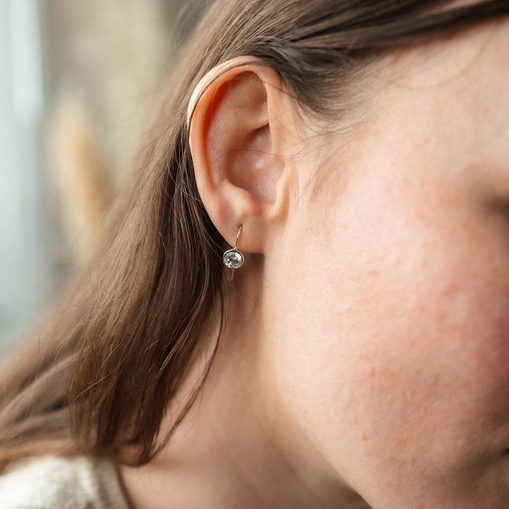 Dazzle Earrings-clear