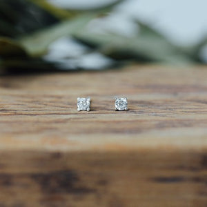Shimmer Studs-clear