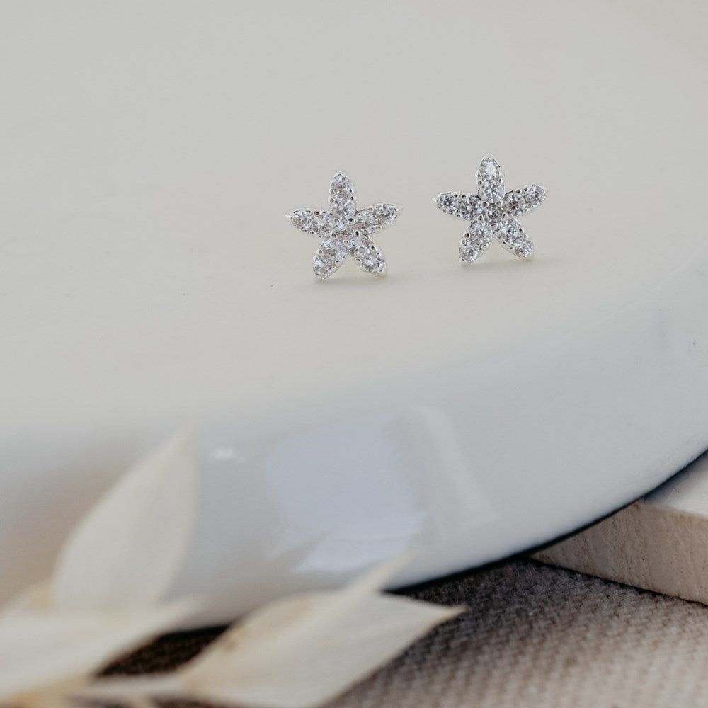 Vibrant Starfish Studs