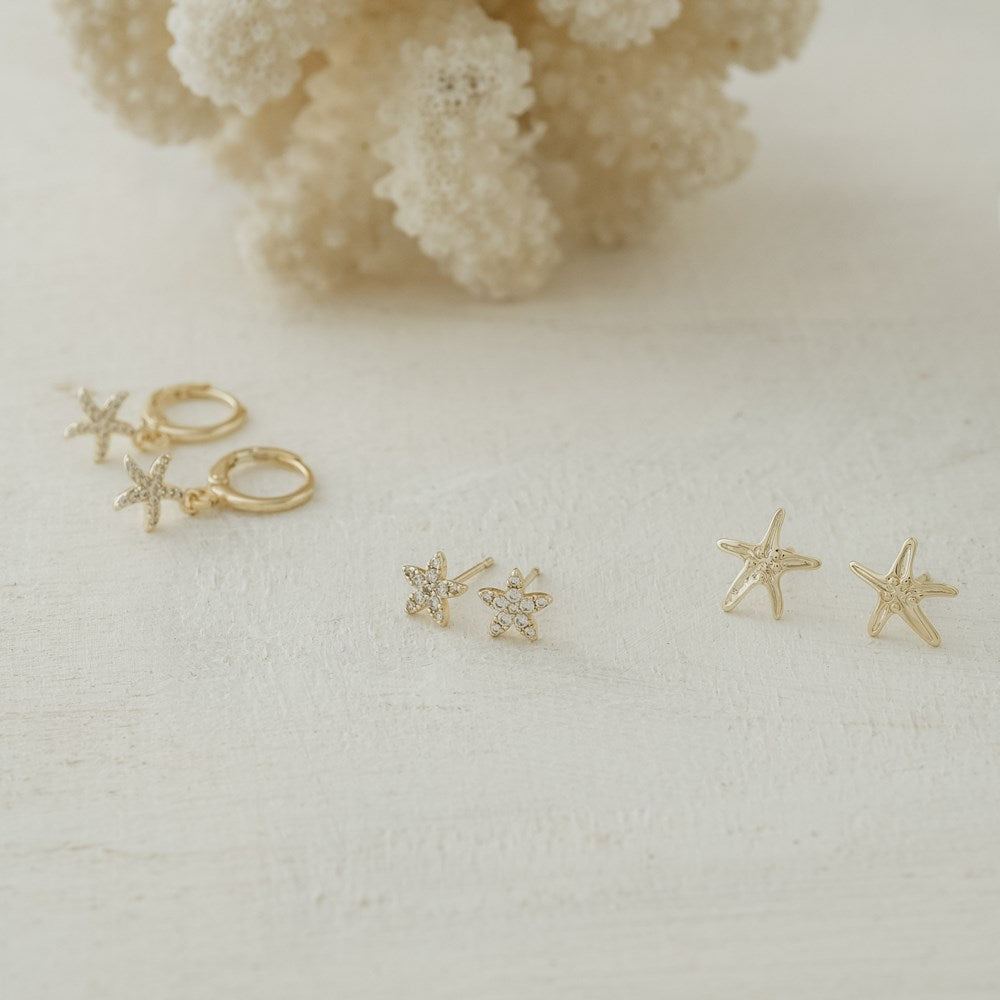 Vibrant Starfish Studs