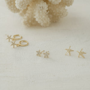 Vibrant Starfish Studs